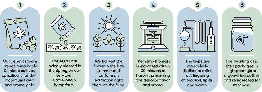 A graphic explaining the Abstrax Live Hemp Process