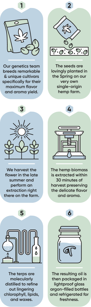 A graphic explaining the Abstrax Live Hemp Process
