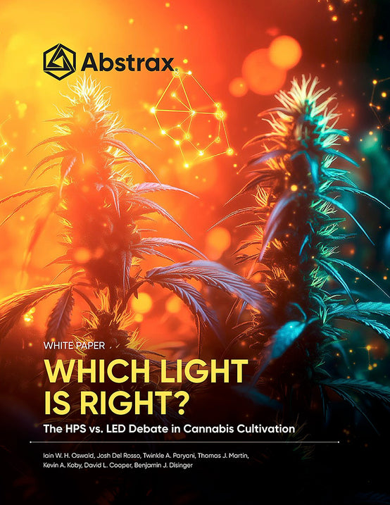 Which Light Is Right?