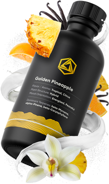 Golden Pineapple Strain Terpenes Profile tilted right | Abstrax Tech