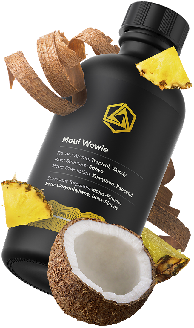 Abstrax-Carousel-Maui-Wowie-