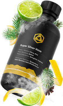 Super Silver Haze Strain Terpenes Profile tilted Right | Abstrax Tech