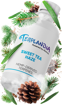 Sweet Tea Haze Strain Hemp Derived Terpenes tilted right | Abstrax Tech