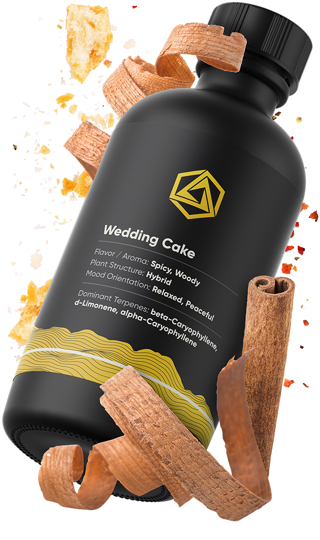 Abstrax-Carousel-Wedding-Cake-