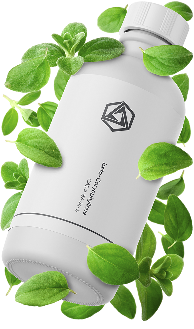 alpha-Phellandrene Terpene Isolate | Pure Natural Organic | Abstrax Tech