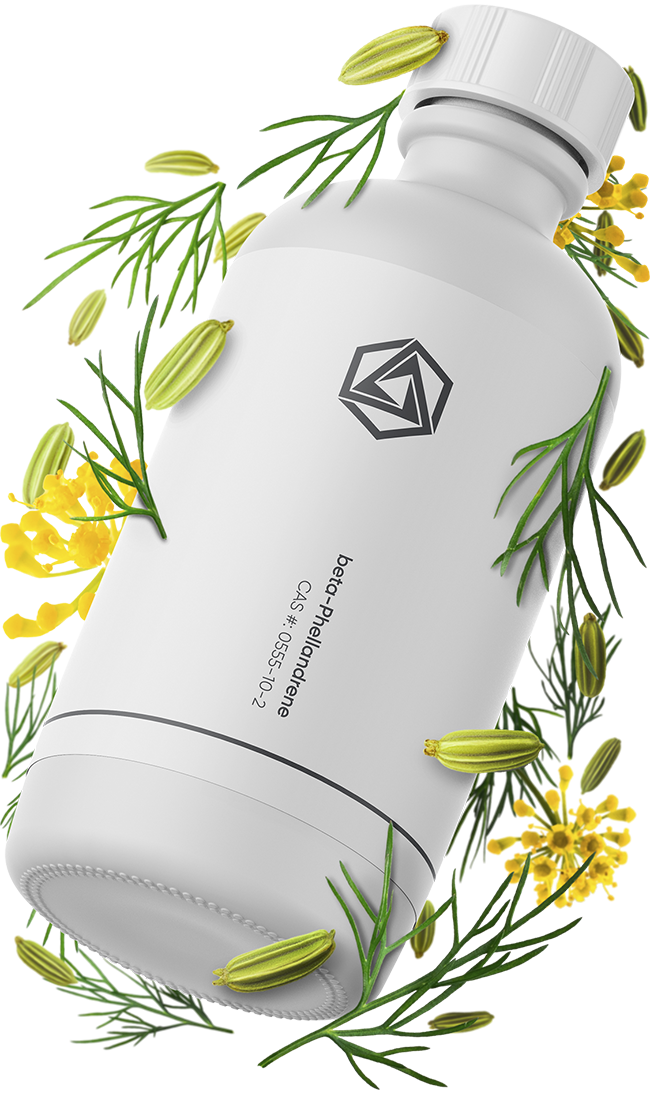 alpha-Phellandrene Terpene Isolate | Pure Natural Organic | Abstrax Tech
