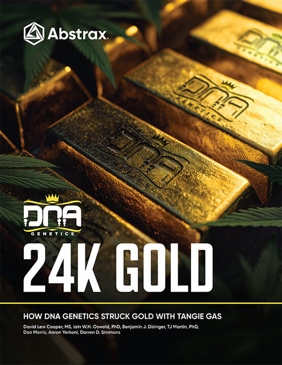 DNA Genetics 24k Gold