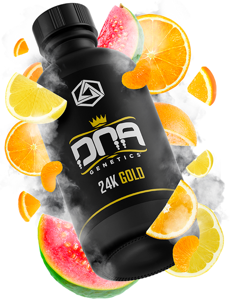 TRUE テルペン 香料 CBD CBN CBG 10ml 24Kゴールドパンチ DNA Genetics 24K Gold Terpene Profile | Abstrax Signature