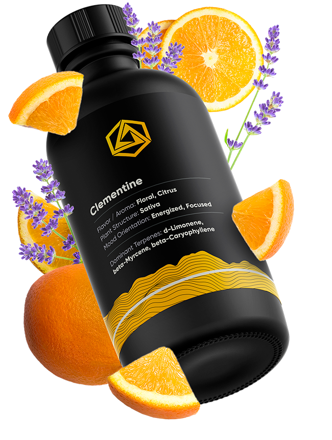Clementine Strain Terpene Profile | non-Cannabis Derived | Abstrax