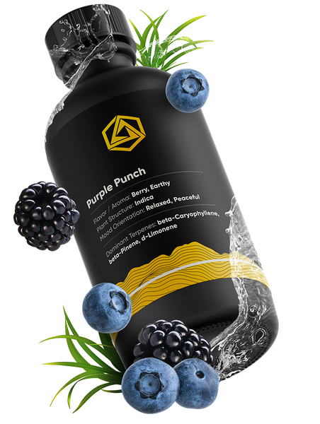 【大容量】TRUE TERPENES Purple Punch 30mL True Terpenes - Purple Punch — Head Candy Smoke Shop