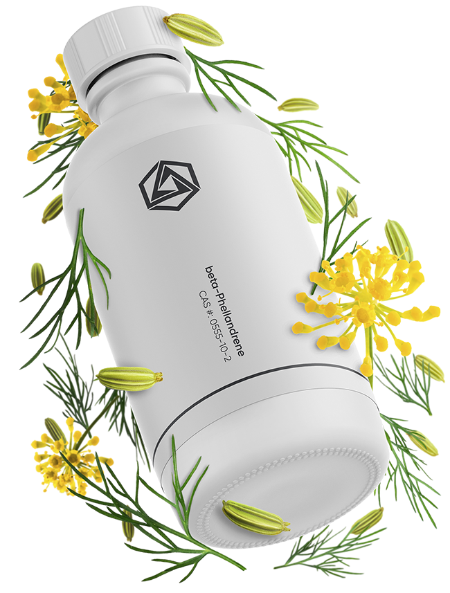beta-Phellandrene Terpene Isolate | Pure Natural Organic | Abstrax Tech
