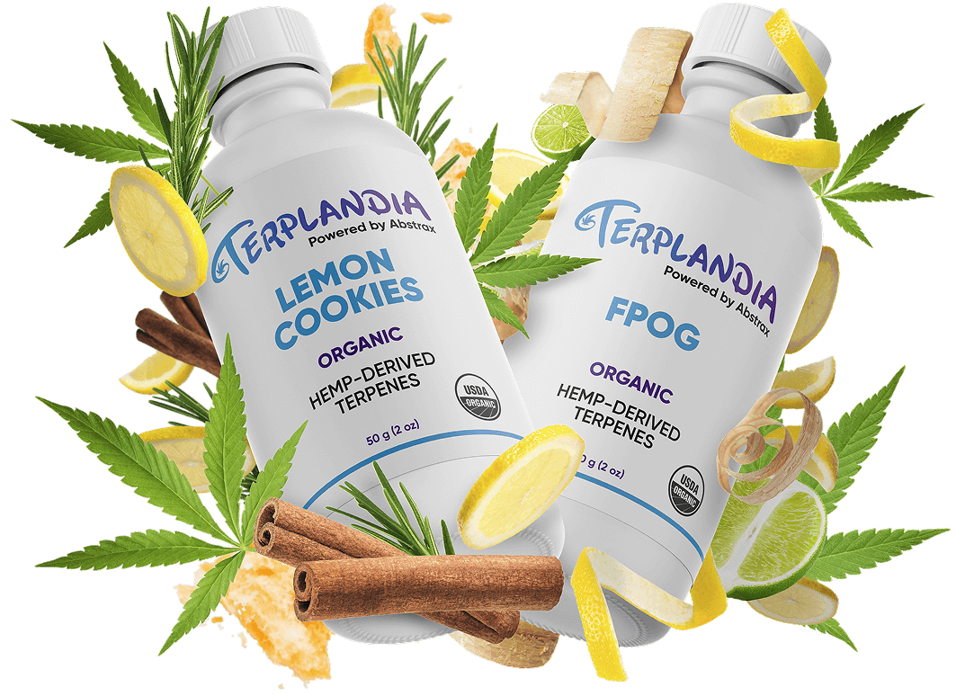 Terplandia product render