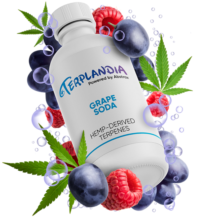 Hemp Terpenes Hemp Derived Live Resin Terpene Profiles Abstrax Tech