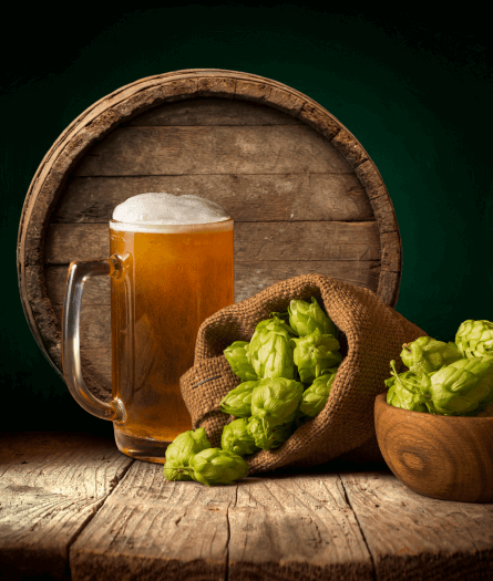 Hop Terpene Extracts for Brewing
