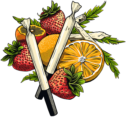 Illustrated flavor-infused pre-rolls beside fruit.