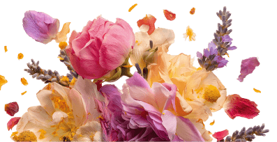 Floral terpenes shown with blooming flower petals.