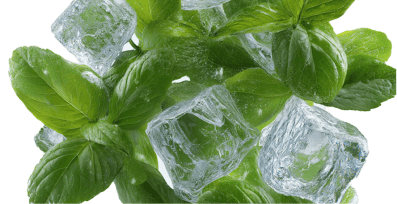 Ice terpenes shown with mint leaves and ice crystals.