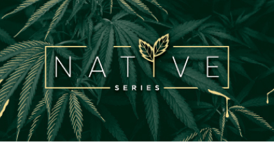 Native Series terpene profiles featuring cannabis-forward leaf artwork.