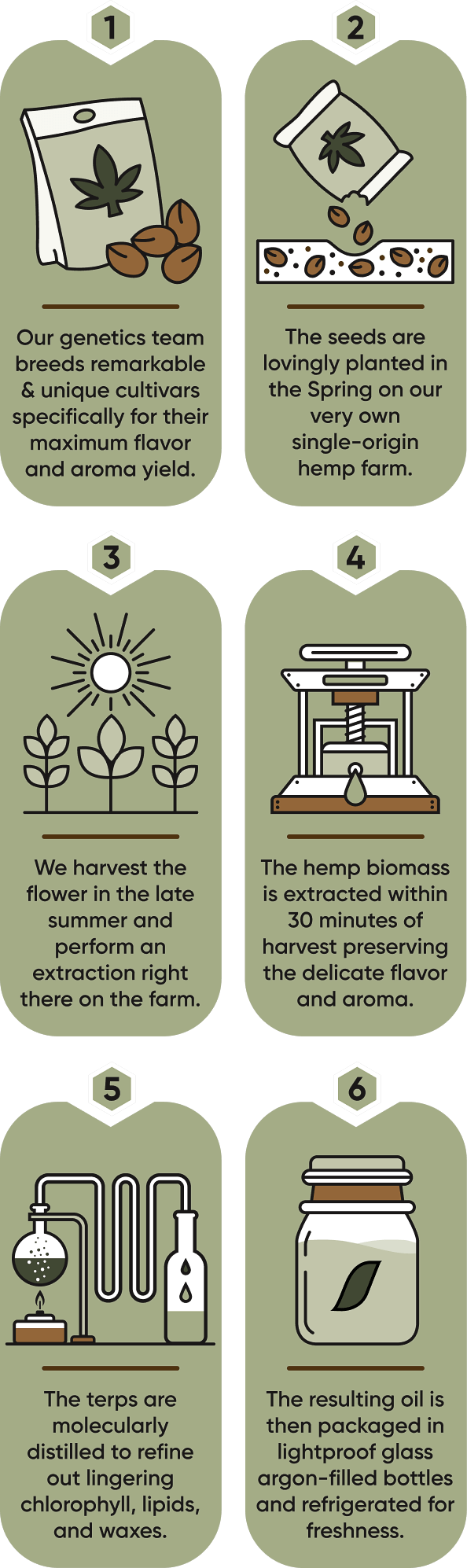Icons showing the six-step process used to produce organic live hemp terpenes