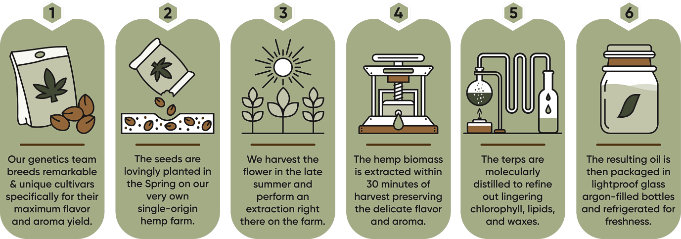 Icons showing the six-step process used to produce organic live hemp terpenes