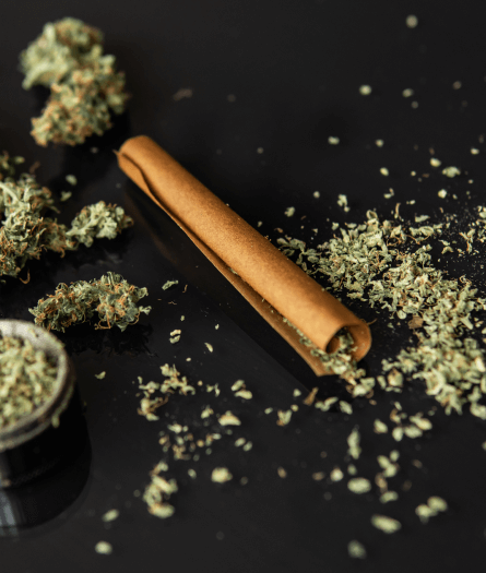 Terpene Infused Blunt Wraps for Pre-Rolls