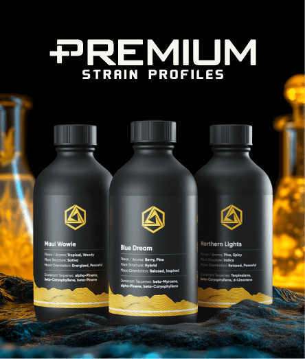 Premium Strain Profiles