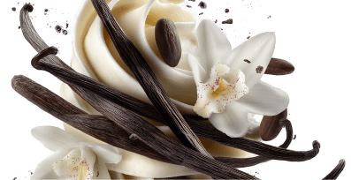 Vanilla terpenes featuring vanilla bean pods and soft cream.