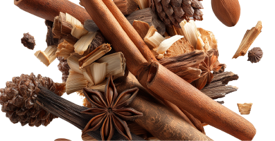 Woody terpenes featuring cinnamon, star anise, bark, and pine elements.