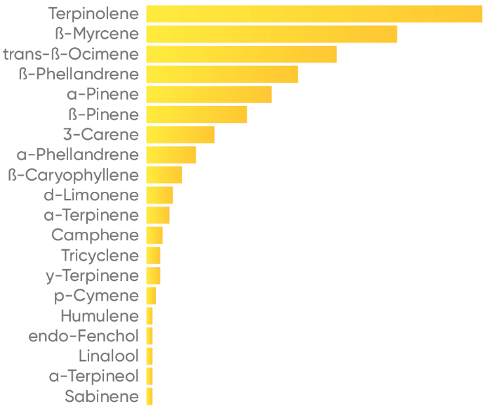 High strain balance chart