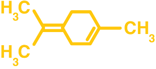 Terpinolene dominant trait indicator