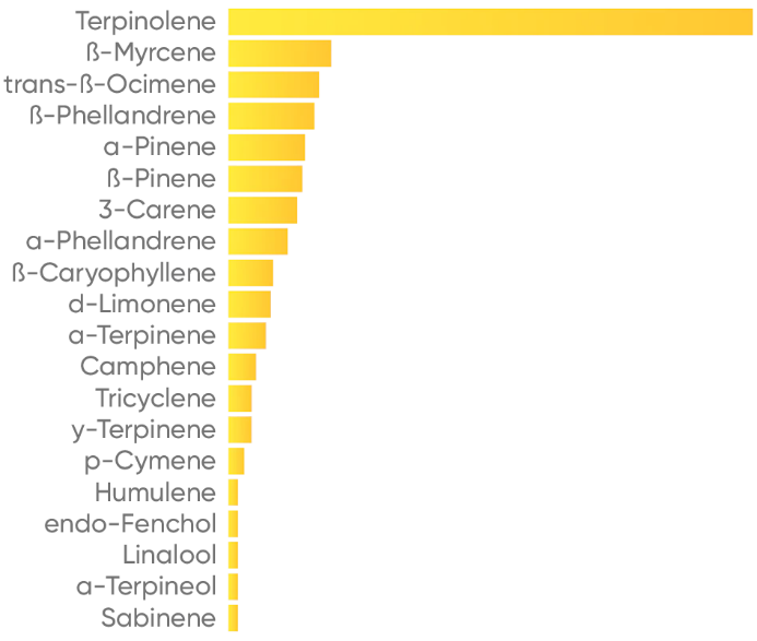 Low strain balance chart