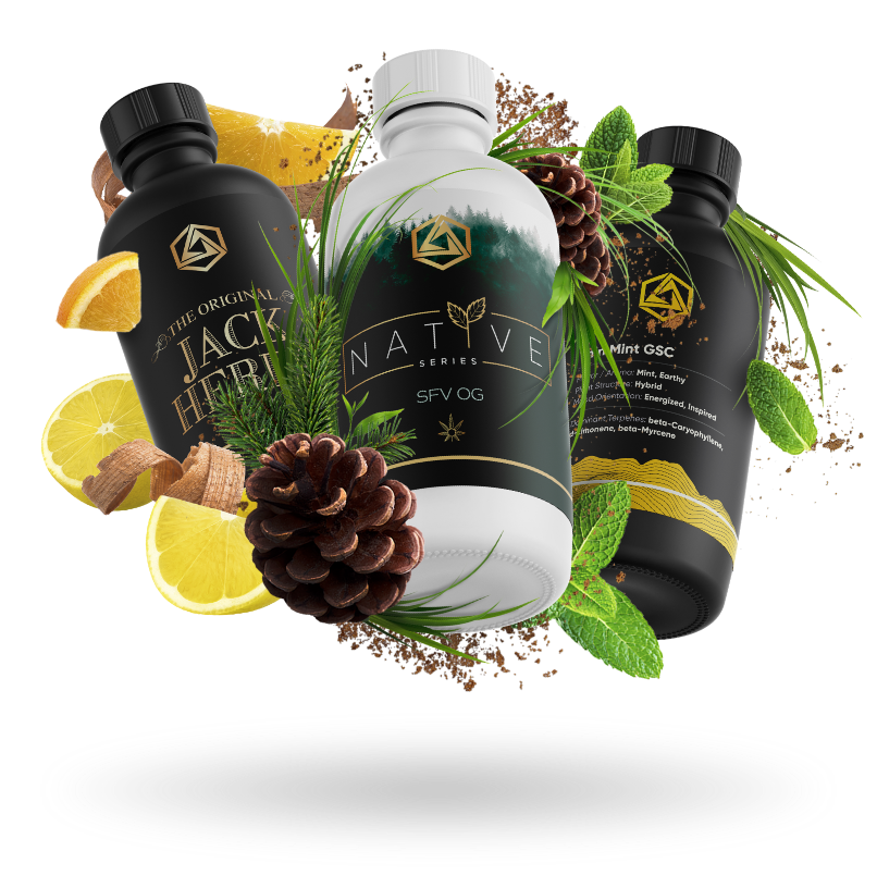A product render of three botanical terpene profiles